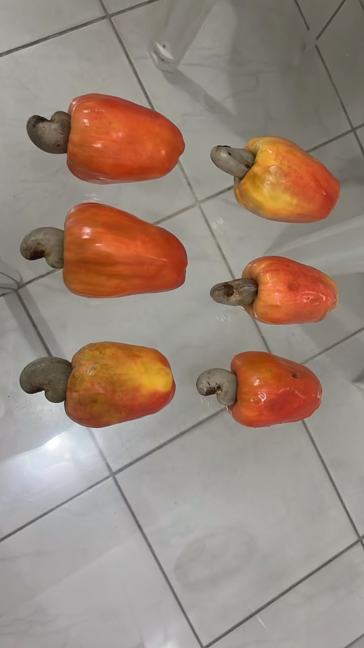 Cajus frescos selecionados